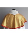 Gold altar server cloak / hood